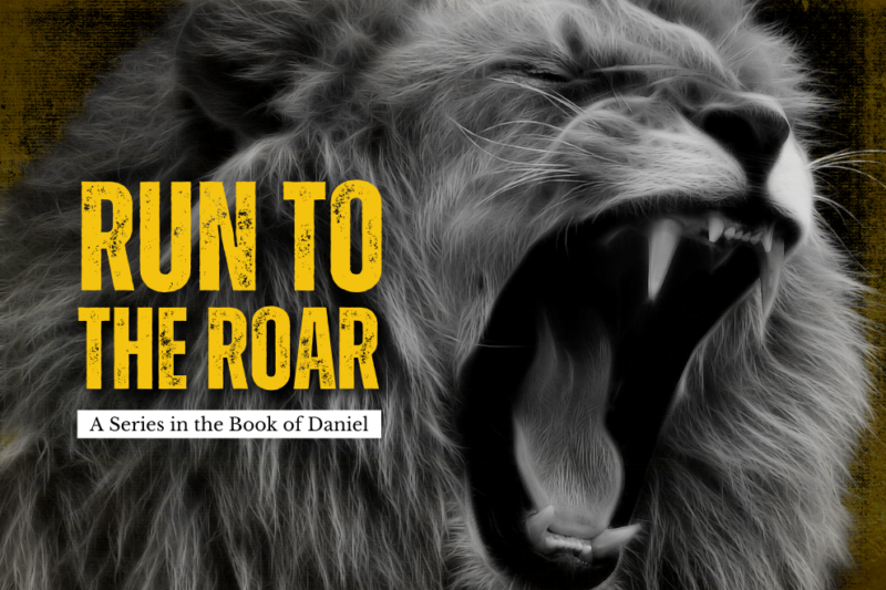 Run To the Roar, Series